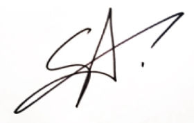 Rennsport Driver Porsche